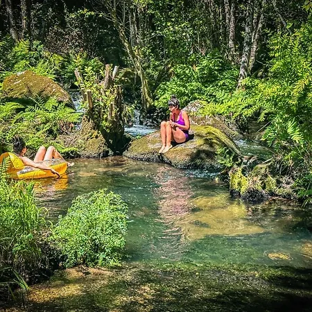 Ferienhaus Wylde Roots River House - With Natural River Swimming Pools Couto de Viseu