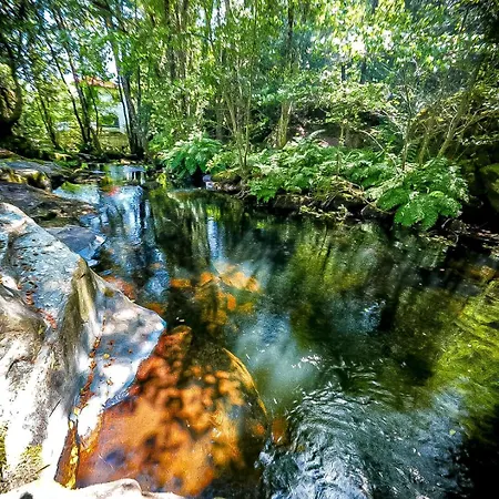 Wylde Roots River House - With Natural River Swimming Pools * Couto de Viseu