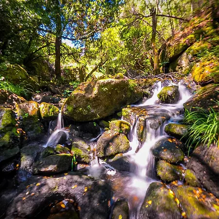 Wylde Roots River House - With Natural River Swimming Pools