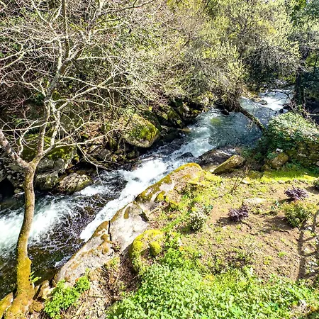 Wylde Roots River House - With Natural River Swimming Pools Couto de Viseu