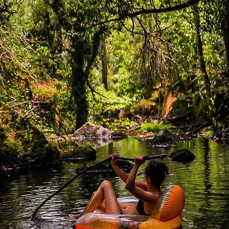 Wylde Roots River House - With Natural River Swimming Pools * Couto de Viseu